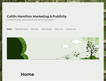 Tablet Screenshot of caitlinhamiltonmarketing.com